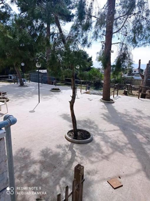 Appartamento In Villa Con Pineta Leporano Ngoại thất bức ảnh